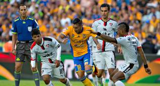 Felinos y Zorros continúan sin triunfo en la Liga MX